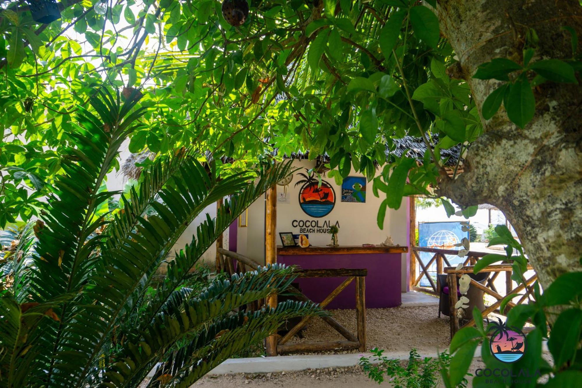 Cocolala Beach House Нунгві Екстер'єр фото